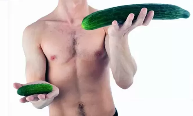 Small and large penis sizes using cucumber as an example